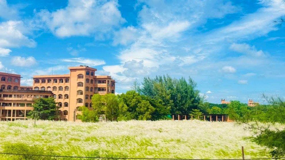 ববির লাল ইটের প্রাচীর এর মাঝে কাশফুল যেন এক টুকরো সাদা স্বর্গ