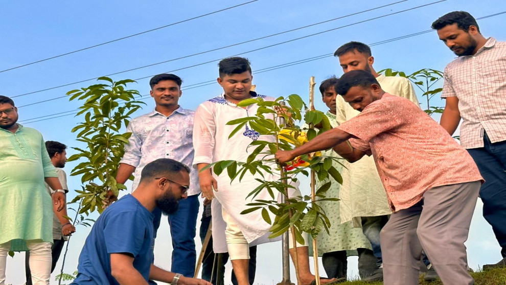 কুড়িগ্রামের চিলমারী-মওলানা ভাসানী সেতু মহাসড়কে ছাত্রদলের বৃক্ষ রোপন