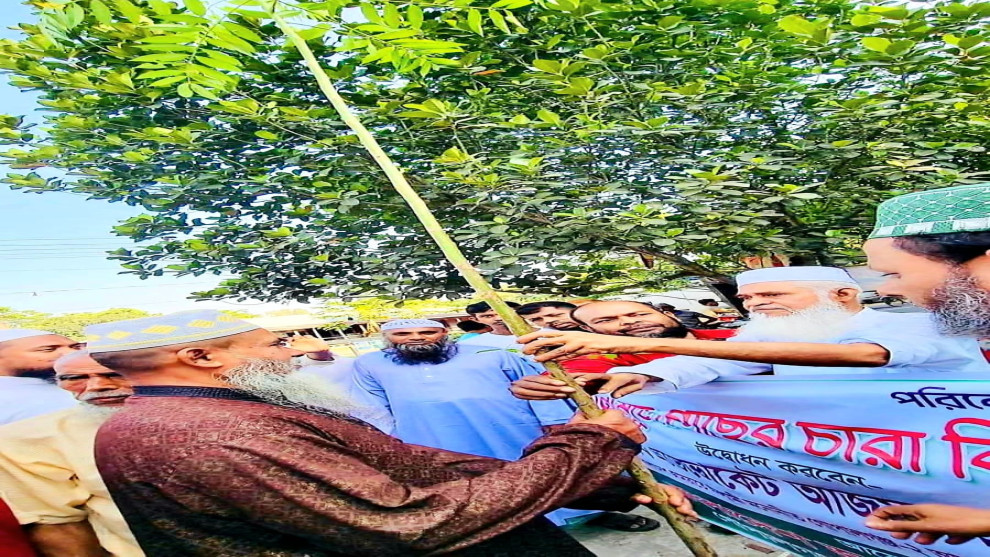গোপালগঞ্জে বাংলাদেশ জামায়াতে ইসলামীর উদ্যোগে বিনামূল্যে গাছের চারা বিতরণ
