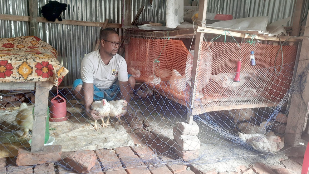 কুড়িগ্রামে হঠাৎ গরম-ঠান্ডায় বাড়ছে মুরগির মৃত্যু, বিপাকে ক্ষুদ্র খামারিরা