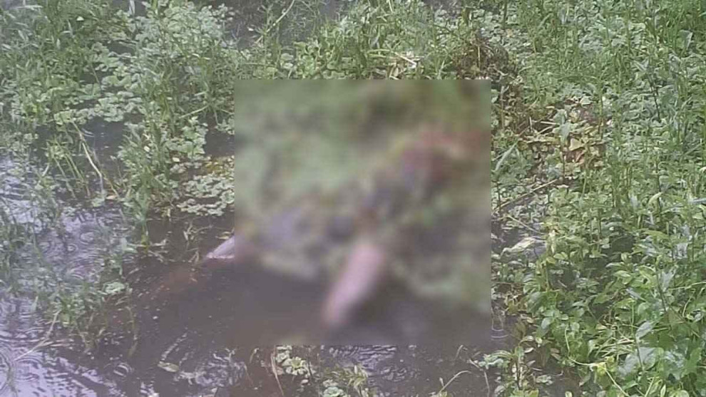 বিয়ের আনন্দ বিষাদে রূপ: ডোবায় মিলল নিখোঁজ যুবকের মরদেহ