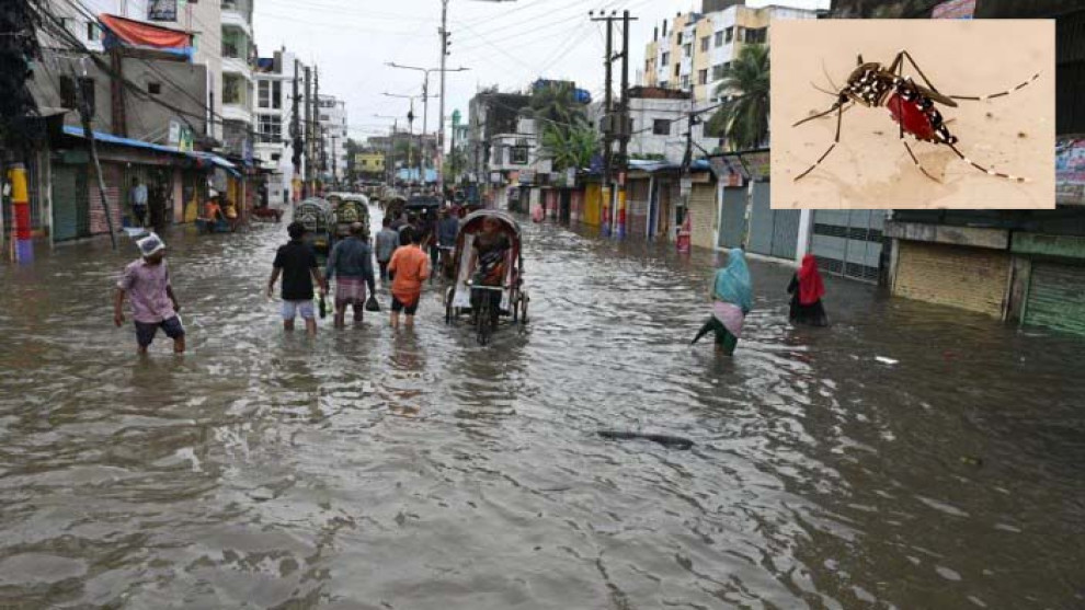 বৃষ্টির পর চট্টগ্রামে বাড়ছে ডেঙ্গু, সপ্তাহে আক্রান্ত ৫ শতাধিক