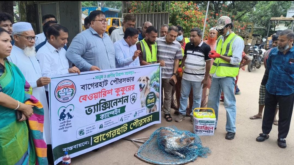 বাগেরহাটে বেওয়ারিশ কুকুরকে জলাতঙ্কের টিকা দেওয়া শুরু