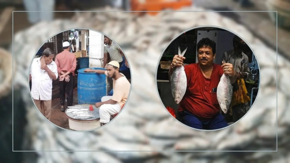 দুর্গাপূজায় ইলিশ চায় ভারত, বাংলাদেশ কি রপ্তানির অনুমতি দেবে?